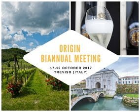 oriGIn biannual meeting web