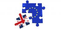 thumb brexit puzzle copy